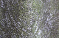 Birdlip fibreglass roof work